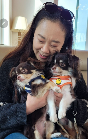 카지노 게임 사이트