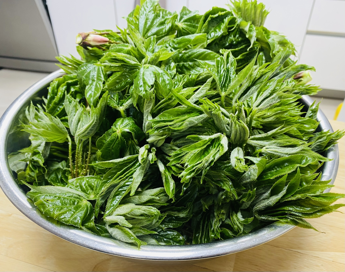 카지노 게임