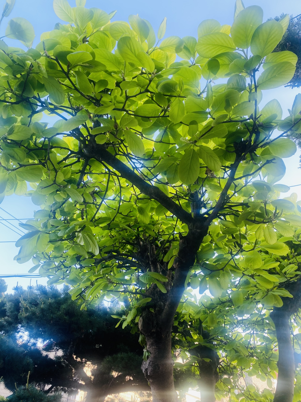 카지노 게임 추천