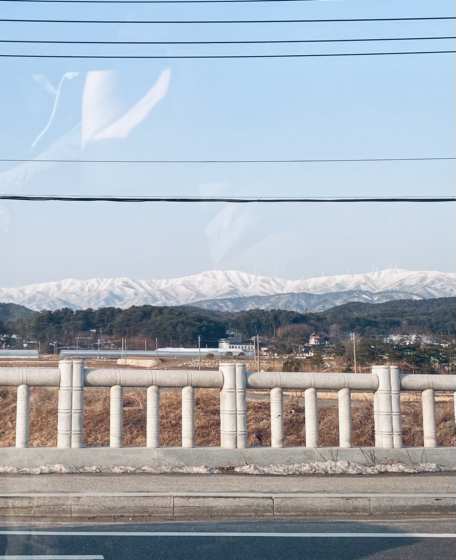 온라인 카지노 게임