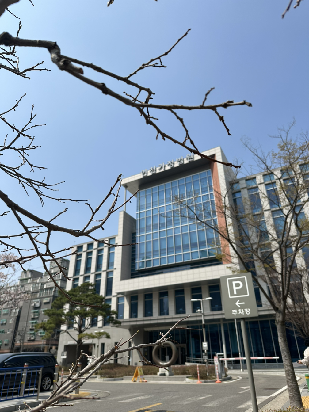 봄날의 법정, 양육비를 위한 싸움