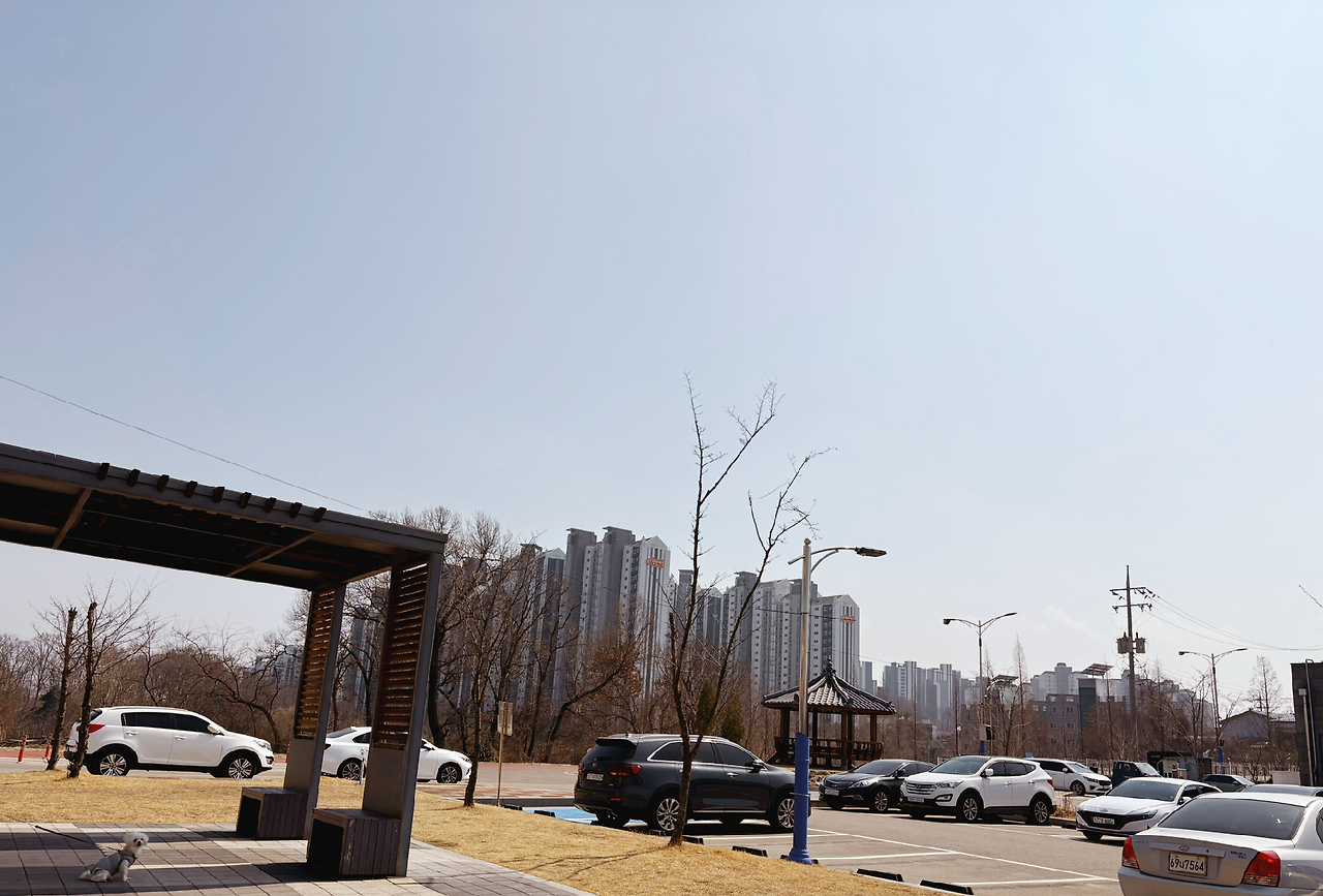카지노 쿠폰
