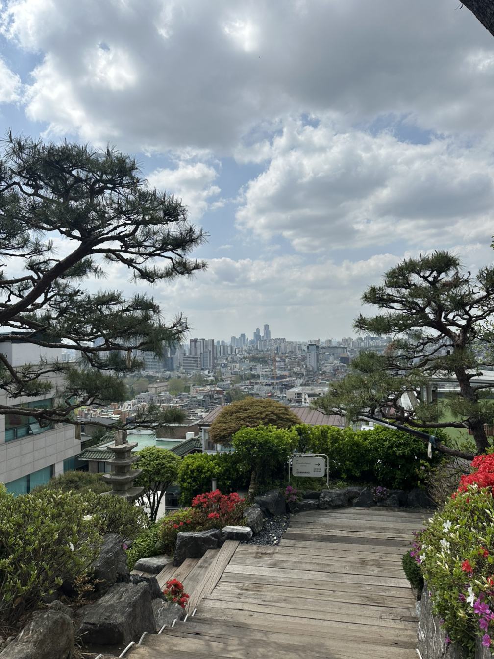 카지노 게임 사이트