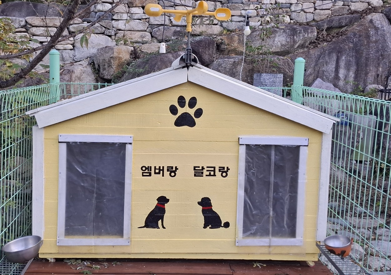 카지노 가입 쿠폰