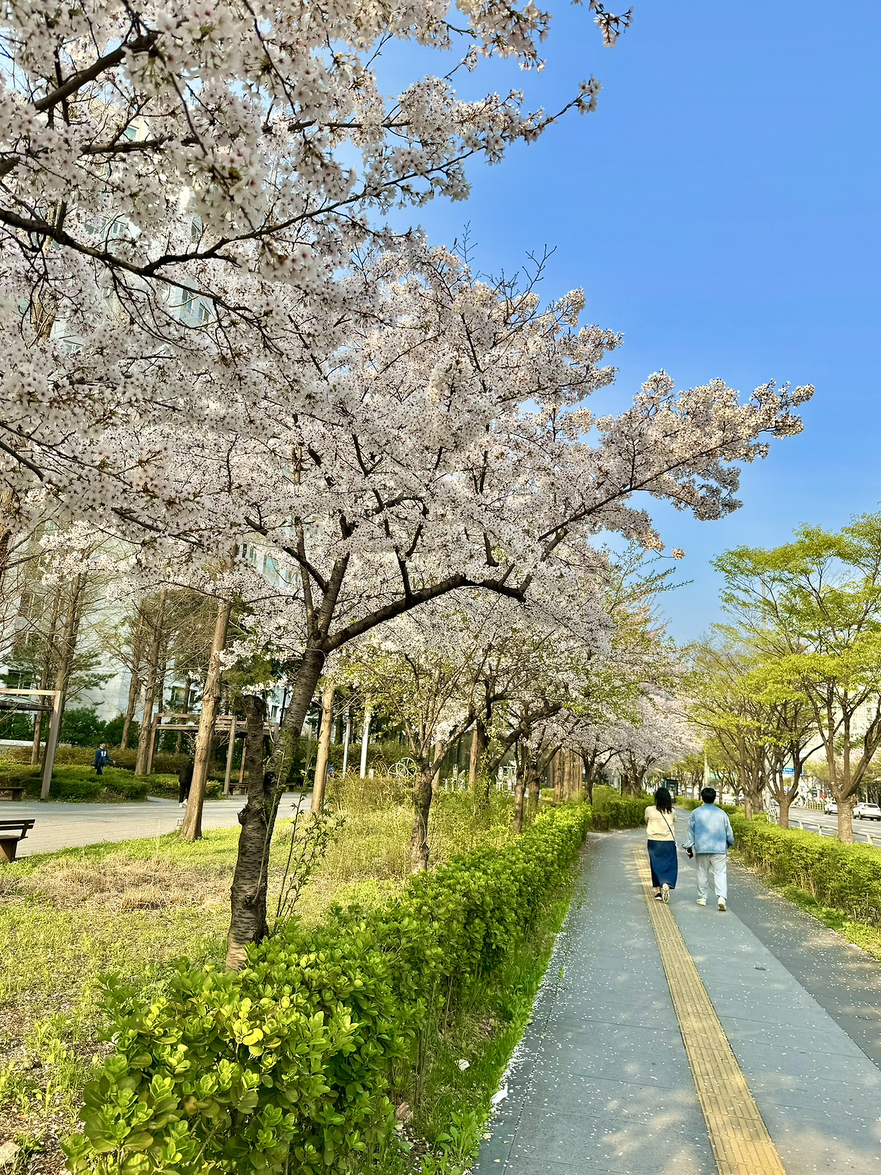 카지노 쿠폰