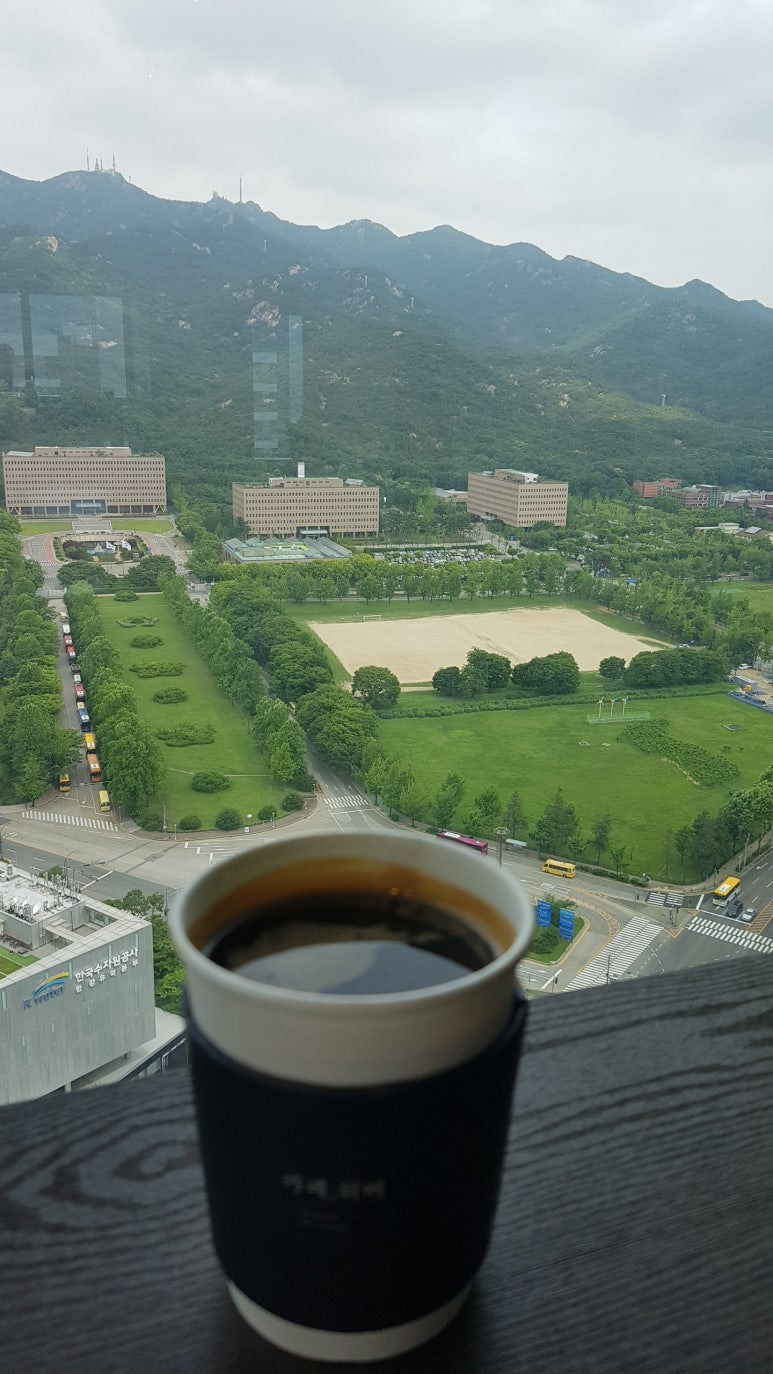 카지노 게임