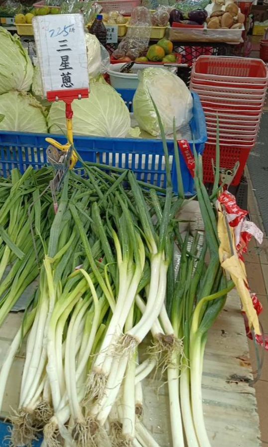 카지노 게임 사이트