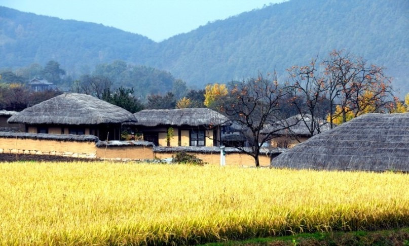 고향