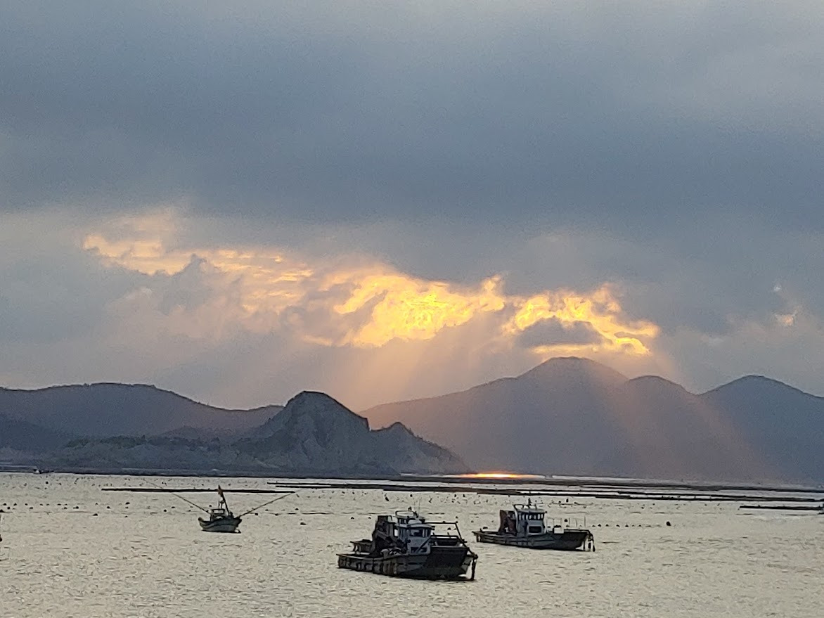 푸른 별을 찾아 떠난 스무 살 여행