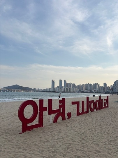 카지노 게임 사이트