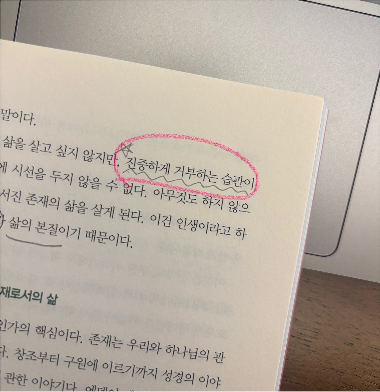 무료 카지노 게임