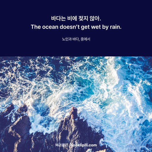 카지노 게임 사이트