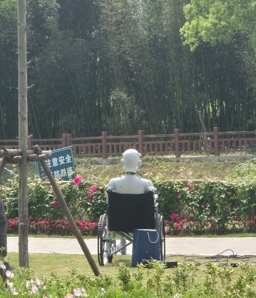 카지노 게임 추천