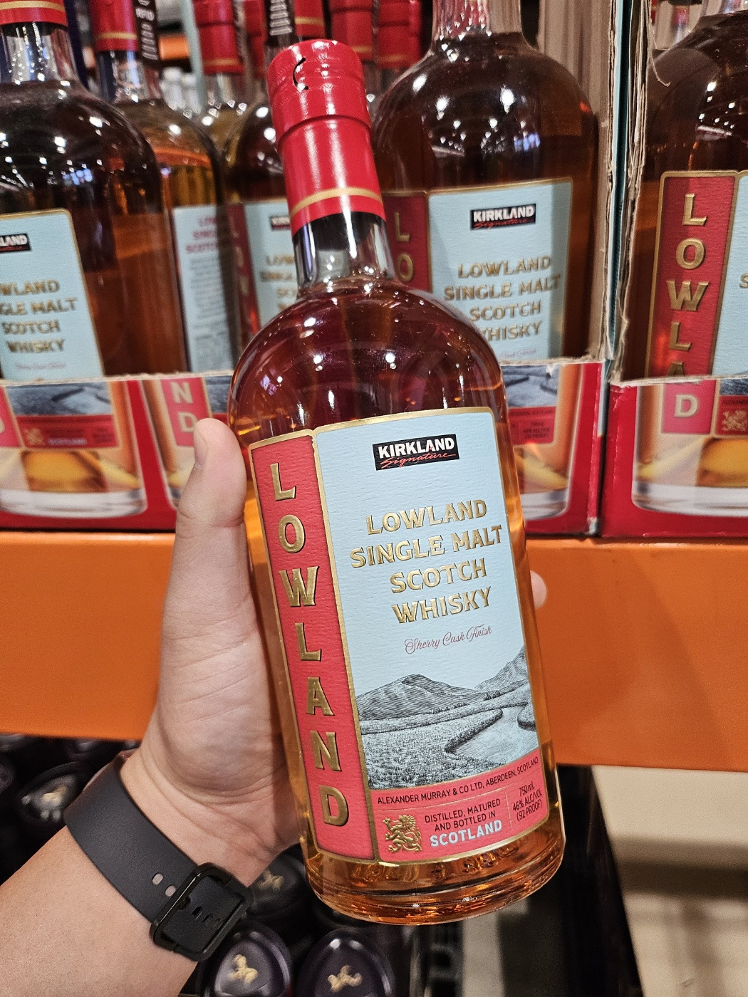 무료 카지노 게임
