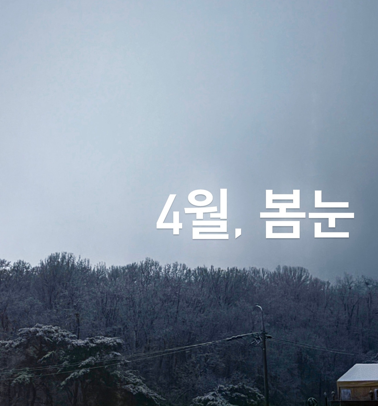 무료 카지노 게임