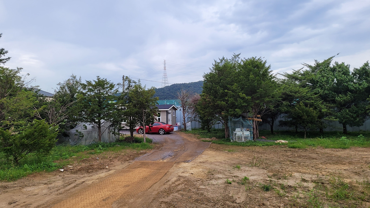카지노 게임 사이트