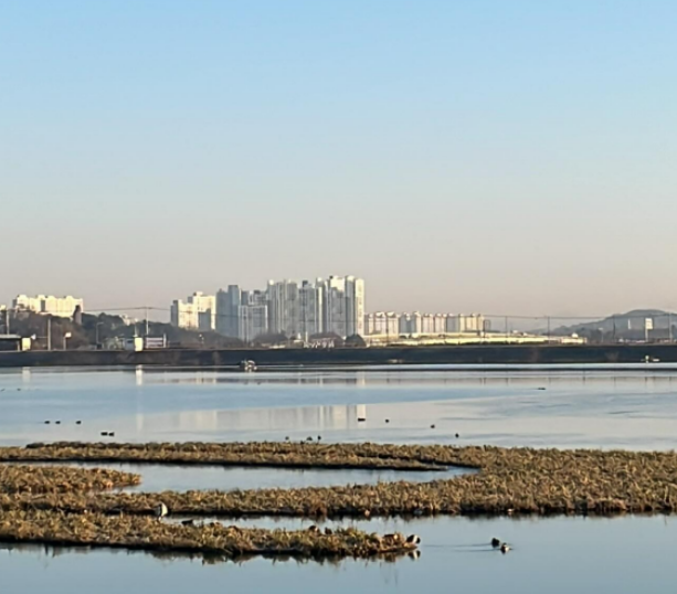 카지노 게임