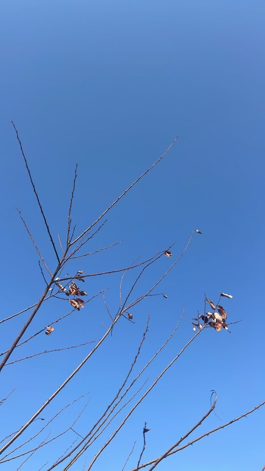 카지노 가입 쿠폰