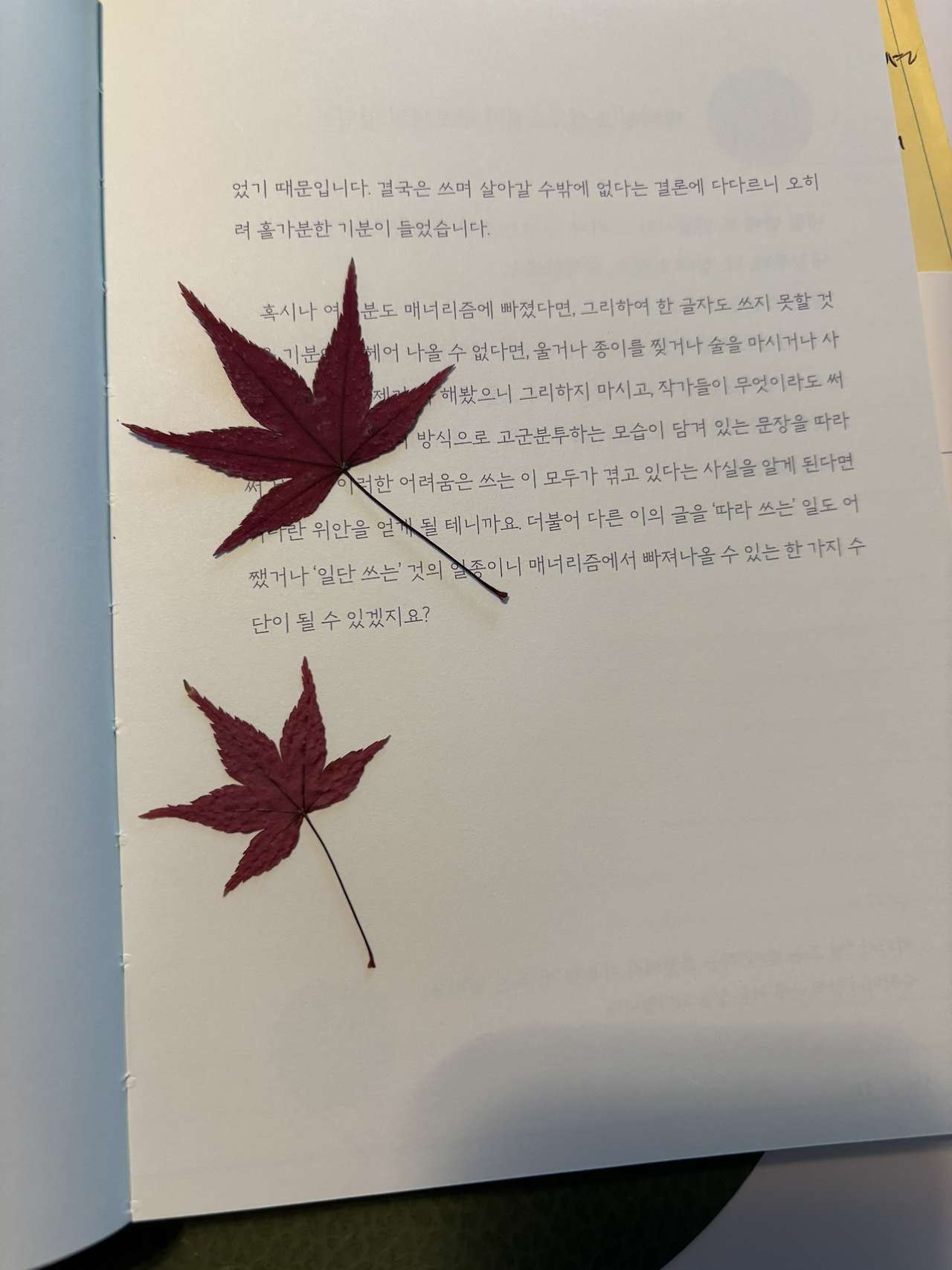 카지노 게임 사이트