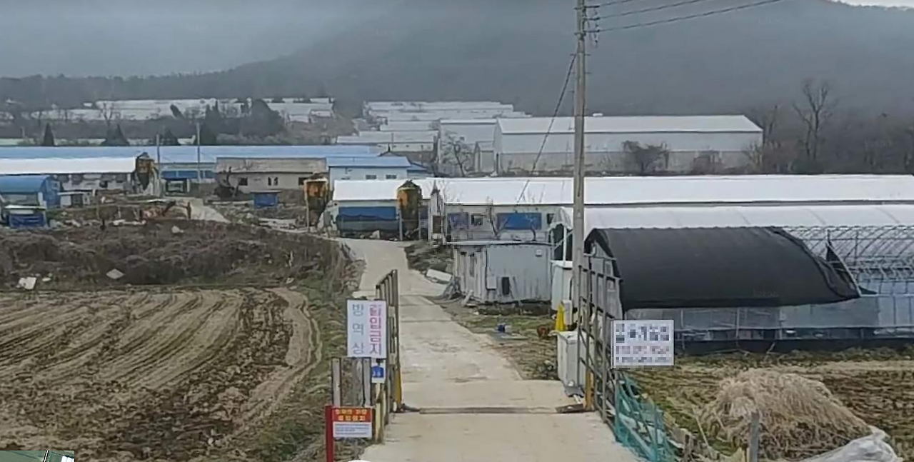 카지노 게임 사이트