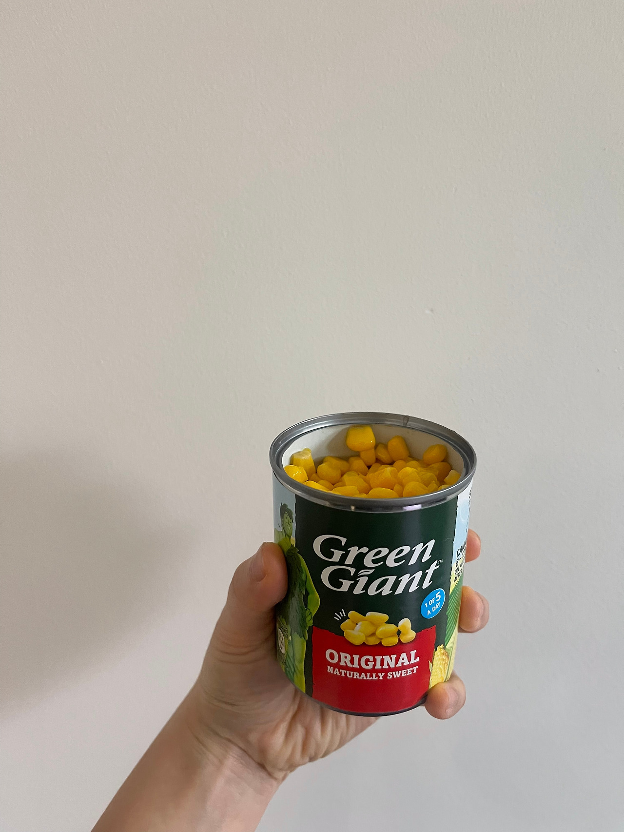 온라인 카지노 게임
