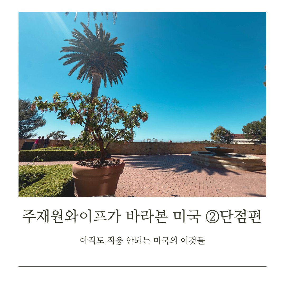 카지노 게임 추천