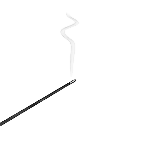 카지노 쿠폰