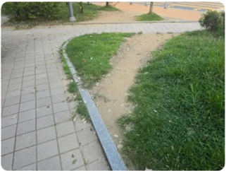 온라인 카지노 게임