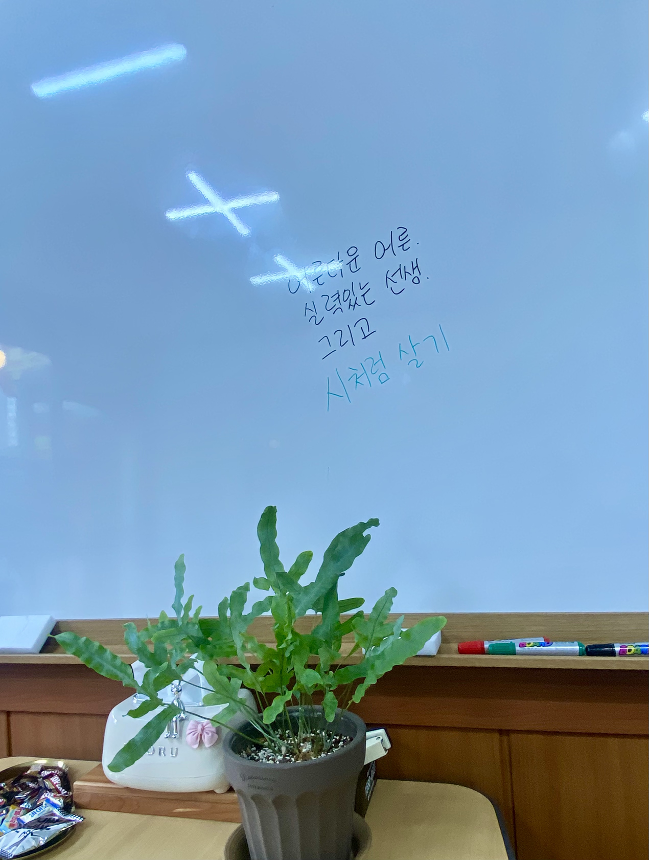 카지노 게임