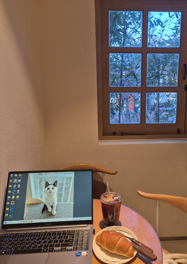 카지노 게임