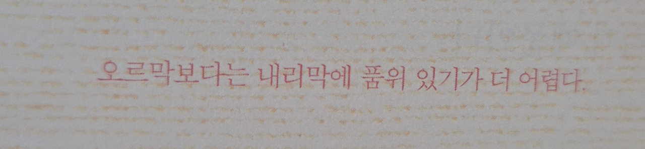 무료 카지노 게임