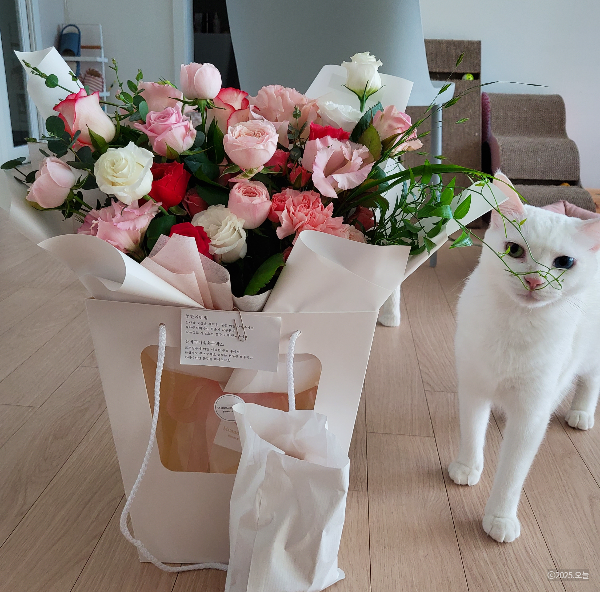온라인 카지노 게임