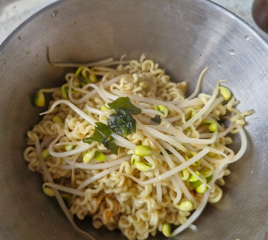 카지노 게임 사이트