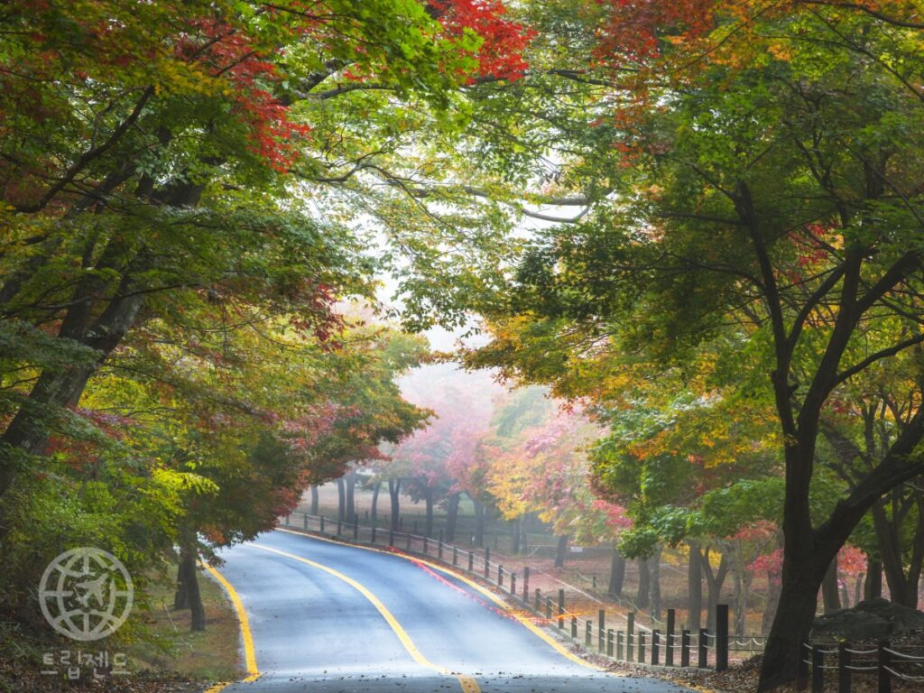 카지노 가입 쿠폰