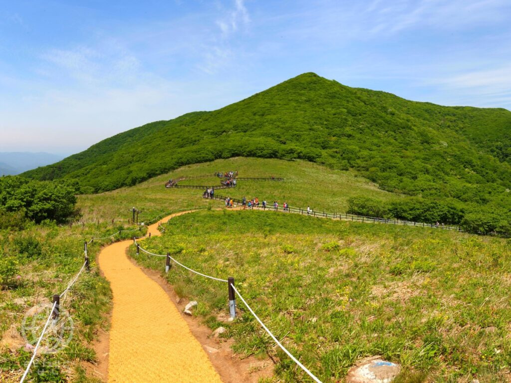 카지노 쿠폰