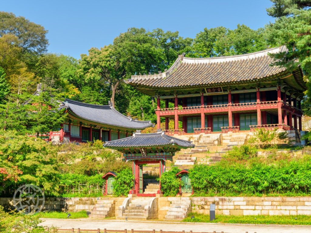 카지노 쿠폰