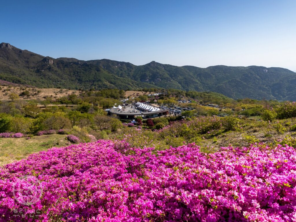 카지노 가입 쿠폰
