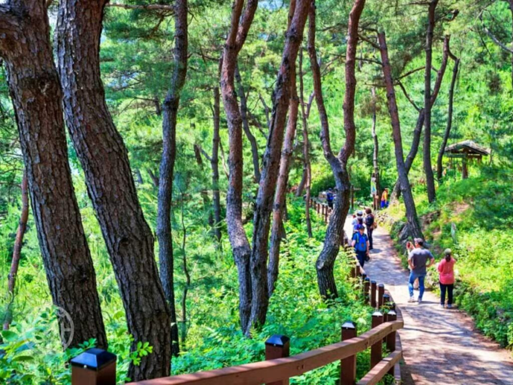 카지노 게임 사이트