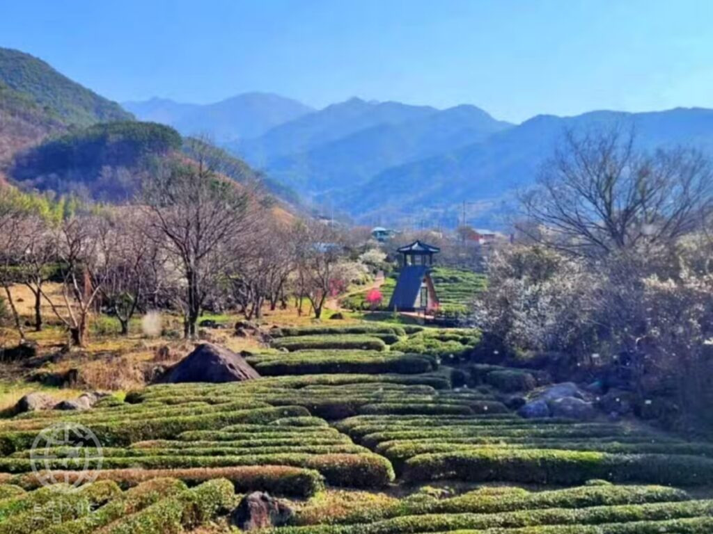 온라인 카지노 게임