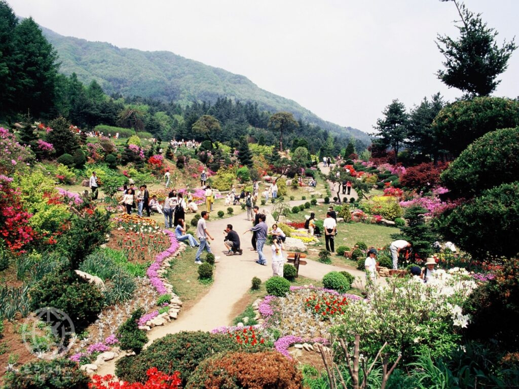 카지노 게임