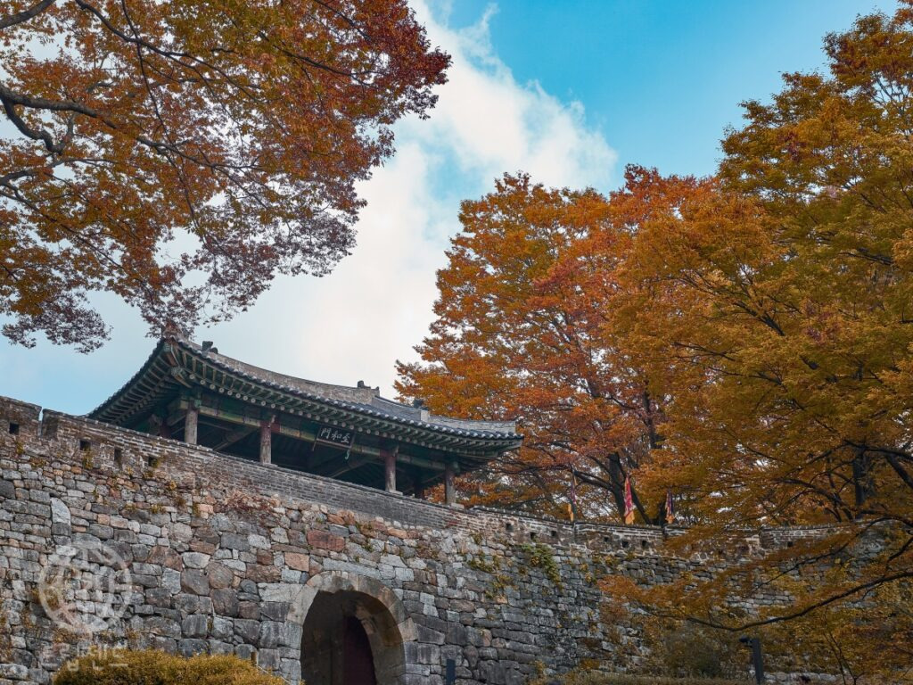 카지노 쿠폰