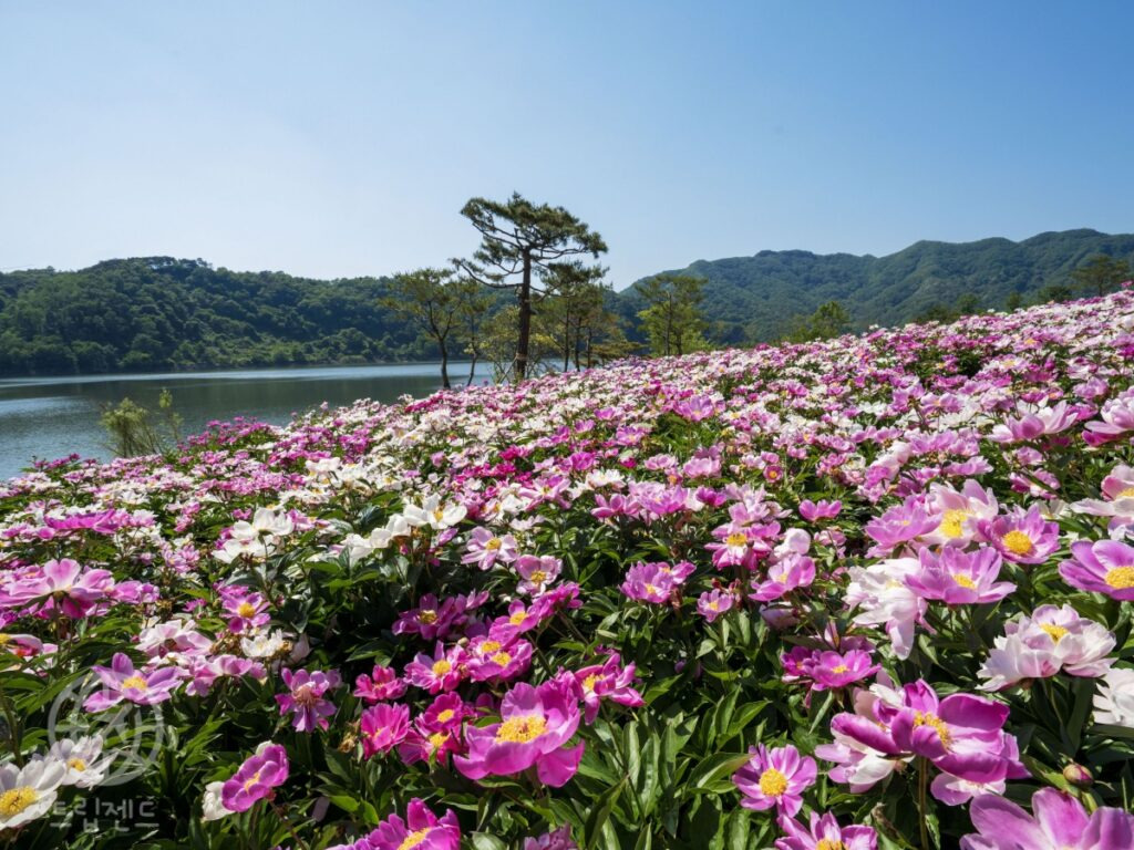 카지노 게임