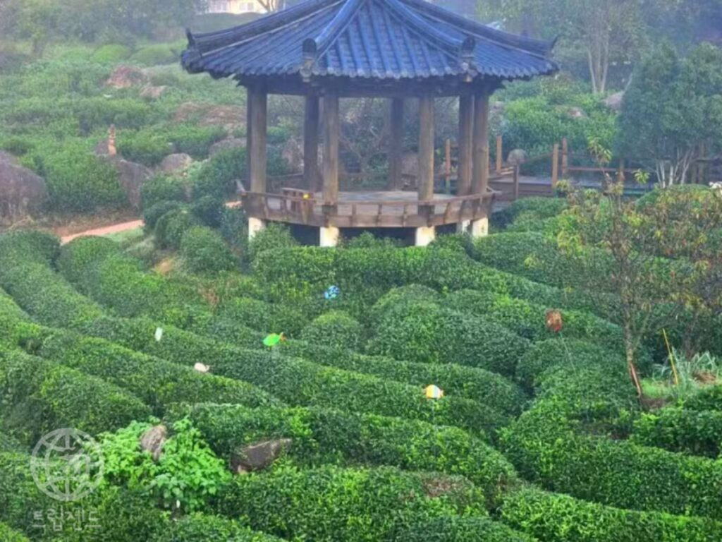 온라인 카지노 게임