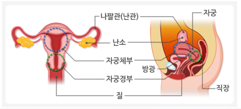 토토사이트추천