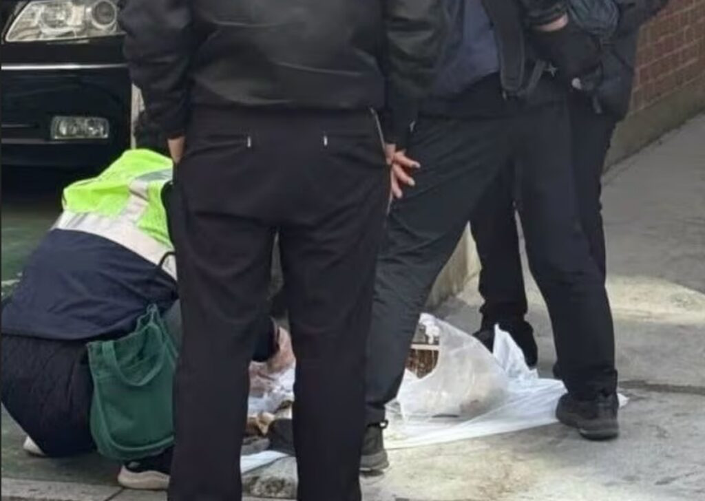 카지노 가입 쿠폰