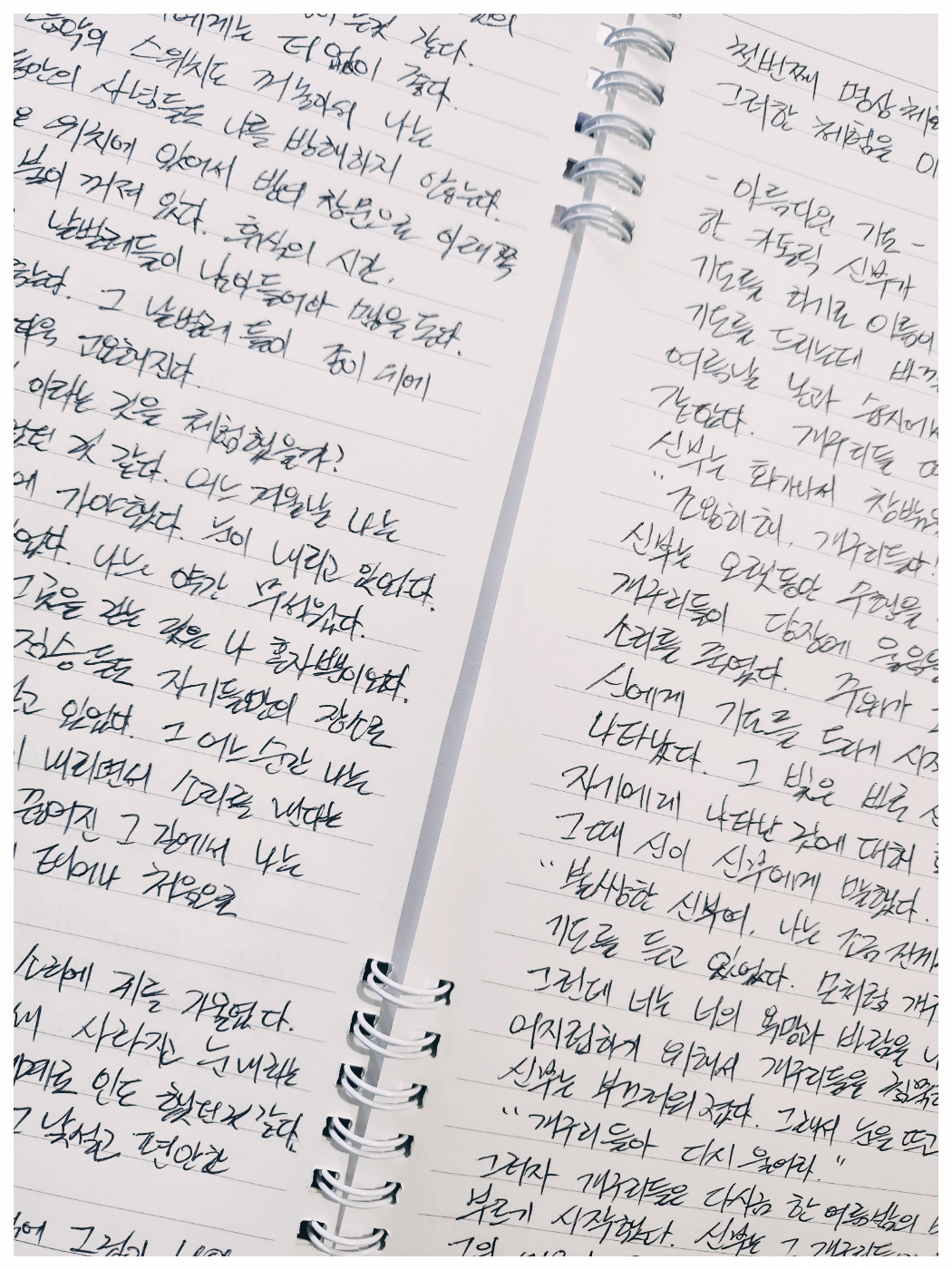 카지노 게임 사이트