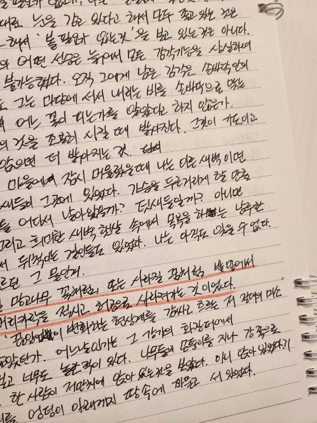 카지노 게임 사이트