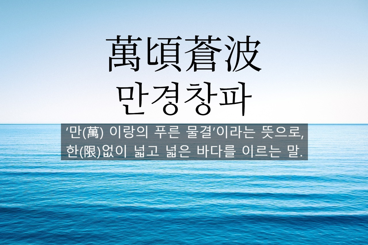 카지노 쿠폰