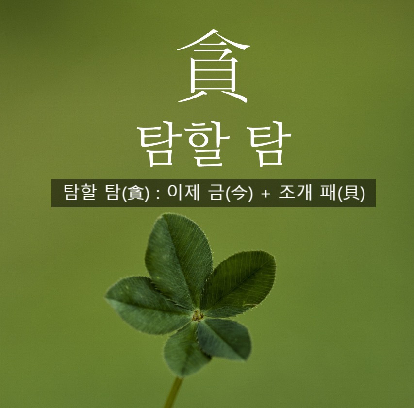 카지노 가입 쿠폰