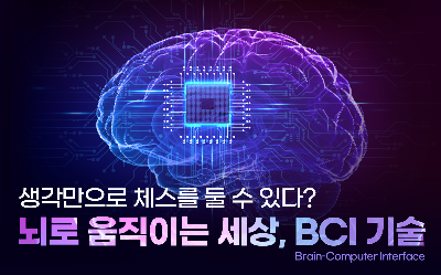 카지노 게임 사이트